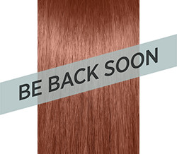 6CM DARK COOL MAHOGANY BLONDE