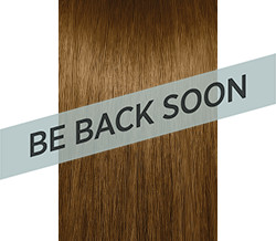 6G  DARK GOLD BLONDE