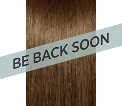 6WB  DARK WARM BLONDE