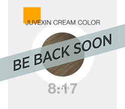 GK CREAM COLOR 8.17