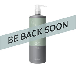 HEAVY HITTER SHAMPOO 33.8oz 