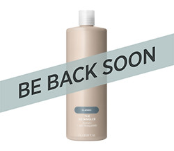 THE DETANGLER 33.8 OZ