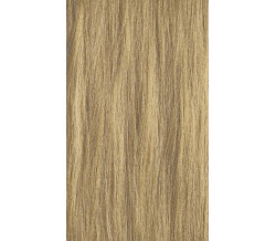 XG Color 10G