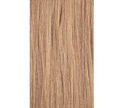 XG Color 10NB