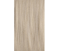 XG Color 10N
