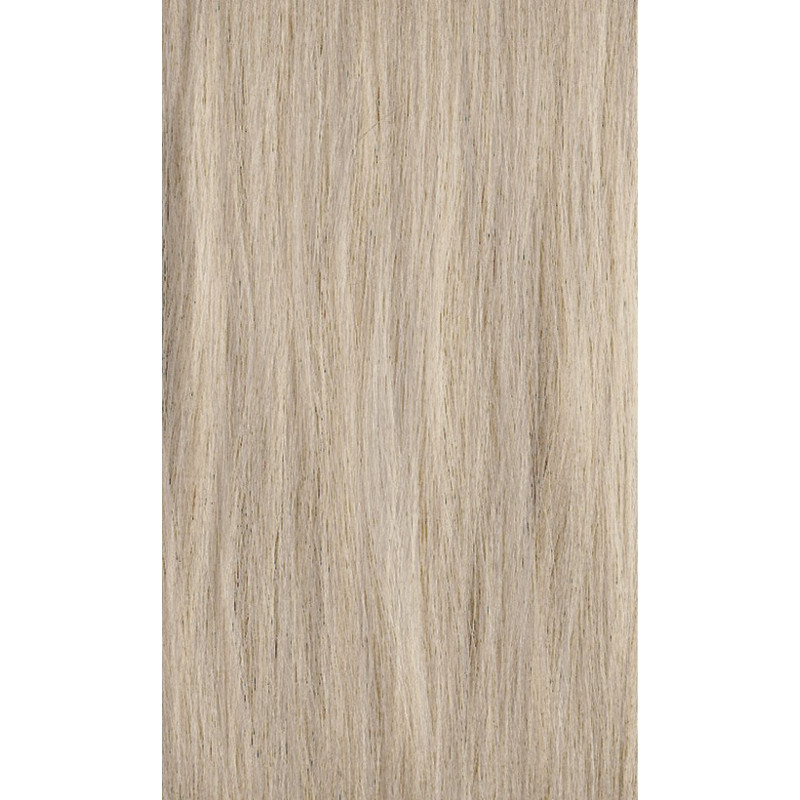 XG Color 10N