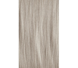 XG Color 10PN