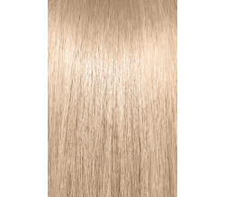 10WB  LIGHTEST WARM BLONDE