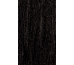 XG Color 1N