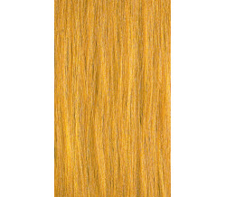XG Color 33 Gold Intensifier
