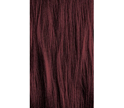 XG Color 4C