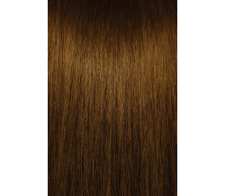 4G  GOLD BROWN
