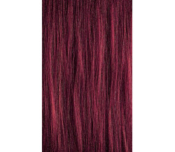 XG Color 4RV