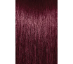 4VR VIOLET RED  