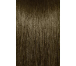 5NA LIGHT NATURAL ASH BROWN 