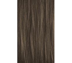 5NN  LIGHT NEUTRAL NEUTRAL BROWN