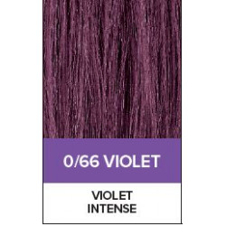 XG Color 66 Violet Intens..
