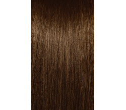 XG COLOR 6BG (BROWN GOLD)