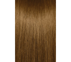 6G  DARK GOLD BLONDE
