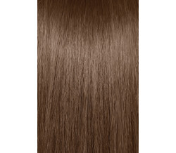 6N  DARK NATURAL BLONDE