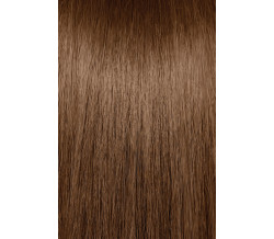6NB  DARK NEUTRAL BLONDE