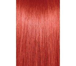 6R  DARK RED BLONDE