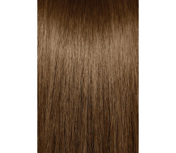 6WB  DARK WARM BLONDE
