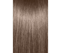8A  LIGHT ASH BLONDE