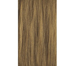 COLOR XG 8G 8/3