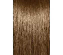 8NB  LIGHT NEUTRAL BLONDE