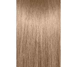 8WB  LIGHT WARM BLONDE