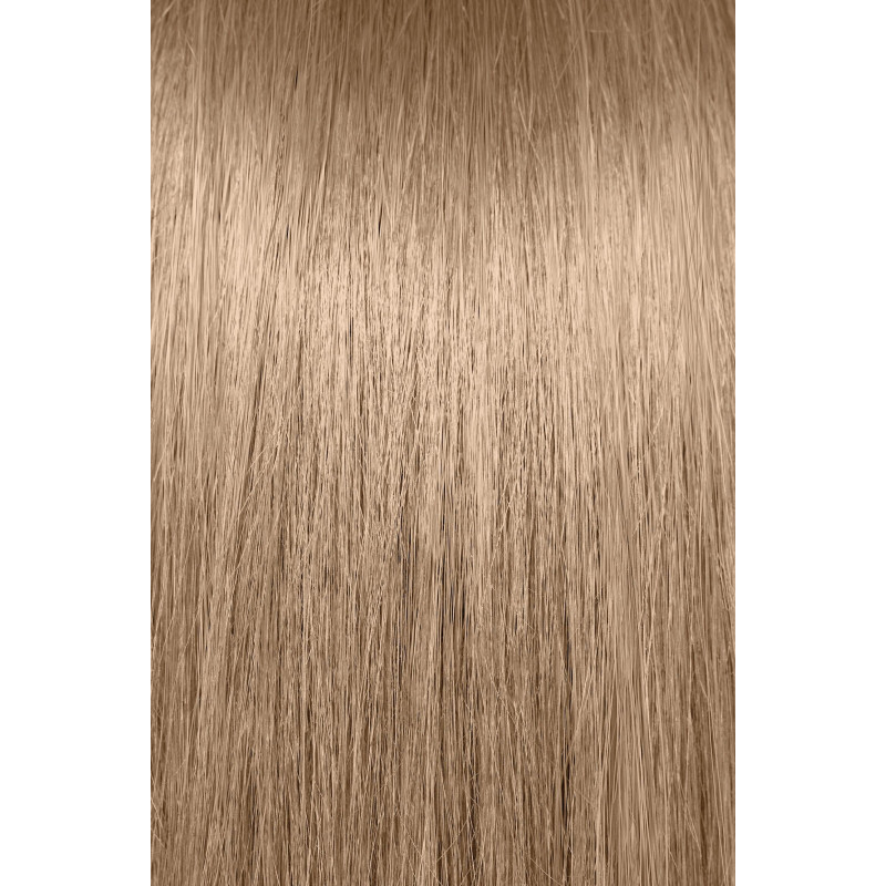 8WB  LIGHT WARM BLONDE