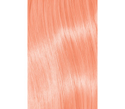 COLORWAYS APRICOT CRUSH