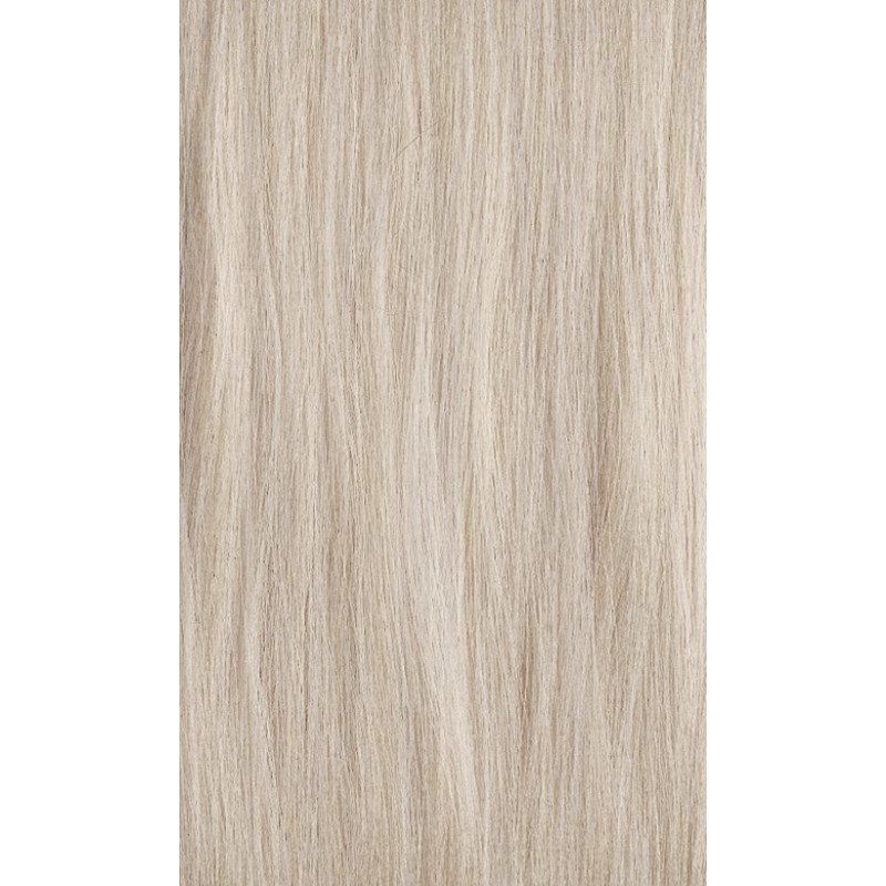 XG Color HLN