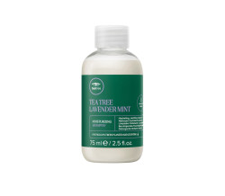 LAVENDER MINT SHAMPOO 2oz