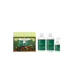 HOLI TT LEMON TREE MARKET LEMON SAGE GIFT SET
